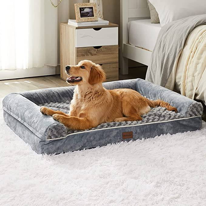 Dog beds on sale at homegoods