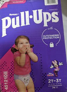 Pull-Ups Girls' Potty Training Pants Training Underwear Size 4, 2T-3T, 74  Ct MSRP $58.99 Auction