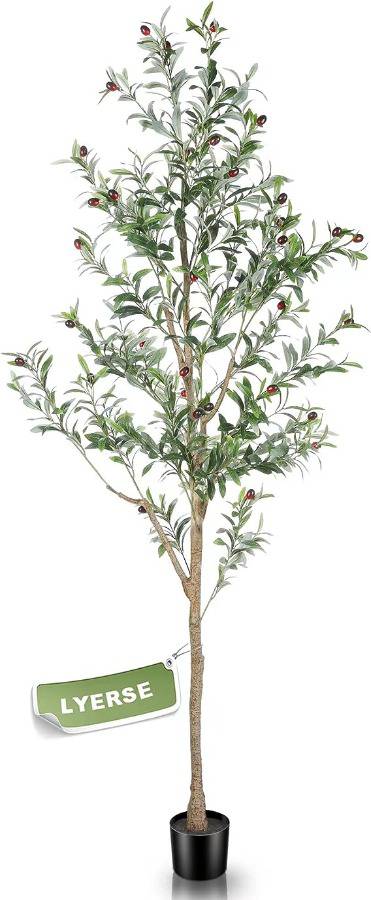 LYERSE 6ft Artificial Olive Tree Tall Fake Potted Olive Silk Tree with  Planter Large Faux Olive Branches and Fruits Artificial Tree for Office  House Living Room Home Decor MSRP $89.99 Auction